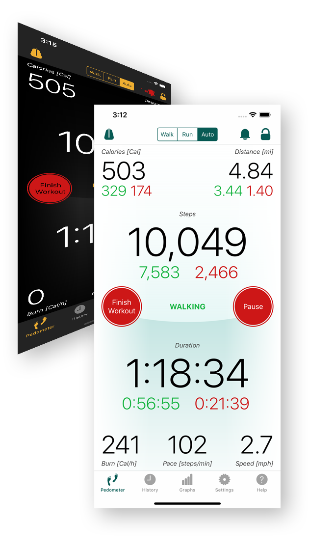 iPhone Pedometer - Calorimeter